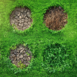 découvrez les 8 pièges à éviter avant de vous engager dans l'entretien de votre gazon anglais. apprenez les erreurs courantes, optimisez votre jardin et assurez un espace vert luxuriant et durable.