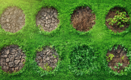 découvrez les 8 pièges à éviter avant de vous engager dans l'entretien de votre gazon anglais. apprenez les erreurs courantes, optimisez votre jardin et assurez un espace vert luxuriant et durable.
