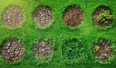 découvrez les 8 pièges à éviter avant de vous engager dans l'entretien de votre gazon anglais. apprenez les erreurs courantes, optimisez votre jardin et assurez un espace vert luxuriant et durable.