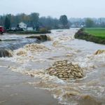 découvrez les enjeux des crues saisonnières, ainsi que les stratégies de prévention et les adaptations nécessaires pour faire face à ces phénomènes naturels. informez-vous sur les impacts environnementaux et sociétaux, et explorez des solutions durables pour protéger les communautés.