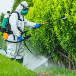 découvrez comment bien doser le roundup pour 1 litre d'eau avec notre guide pratique. astuces, précautions et étapes simples pour un usage efficace et sécurisé de votre désherbant.