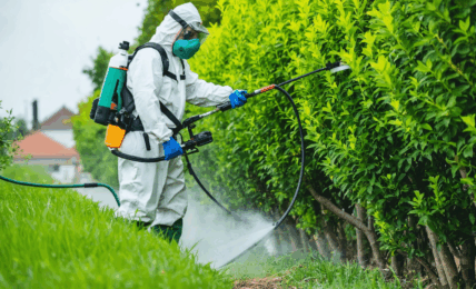 découvrez comment bien doser le roundup pour 1 litre d'eau avec notre guide pratique. astuces, précautions et étapes simples pour un usage efficace et sécurisé de votre désherbant.