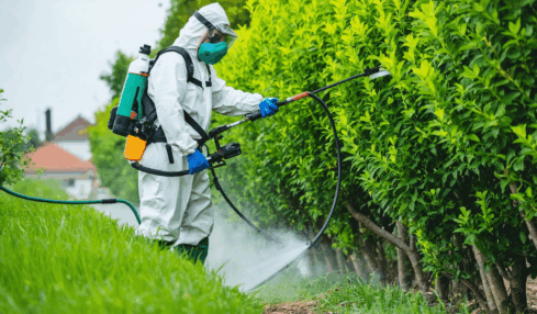 découvrez comment bien doser le roundup pour 1 litre d'eau avec notre guide pratique. astuces, précautions et étapes simples pour un usage efficace et sécurisé de votre désherbant.