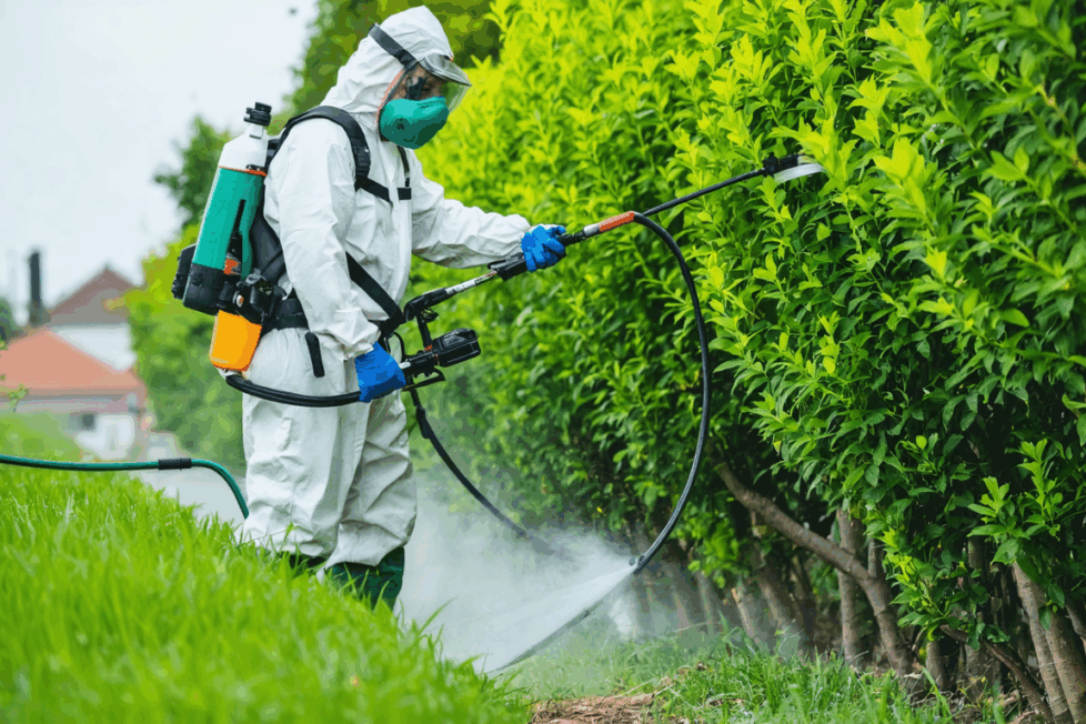 découvrez comment bien doser le roundup pour 1 litre d'eau avec notre guide pratique. astuces, précautions et étapes simples pour un usage efficace et sécurisé de votre désherbant.