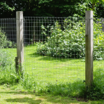 découvrez des conseils pratiques pour gérer les crottes de renard et protéger votre jardin ou votre espace extérieur. apprenez à identifier les signes de leur présence et à adopter des méthodes efficaces pour éloigner ces animaux tout en respectant la biodiversité.