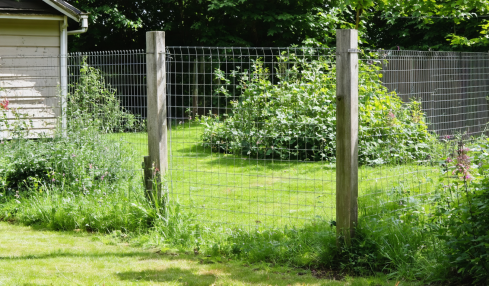 découvrez des conseils pratiques pour gérer les crottes de renard et protéger votre jardin ou votre espace extérieur. apprenez à identifier les signes de leur présence et à adopter des méthodes efficaces pour éloigner ces animaux tout en respectant la biodiversité.