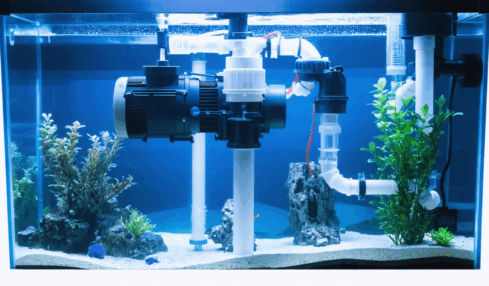 découvrez combien de temps un aquarium peut fonctionner sans pompe, les facteurs qui influencent la survie des poissons et des plantes, ainsi que des conseils pour maintenir un environnement sain sans filtration.