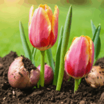 découvrez les plus belles fleurs d’avril, leurs variétés et nos conseils pratiques pour sublimer votre jardin au printemps et profiter d’une floraison colorée et parfumée.
