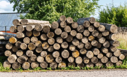 découvrez les meilleures pratiques pour obtenir des traverses de chemin de fer en toute sécurité : démarches légales, astuces de sélection, conseils de transport et précautions pour une acquisition responsable.
