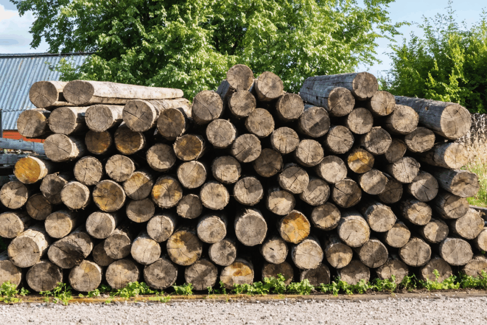 découvrez les meilleures pratiques pour obtenir des traverses de chemin de fer en toute sécurité : démarches légales, astuces de sélection, conseils de transport et précautions pour une acquisition responsable.