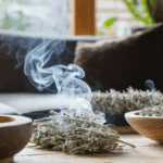 découvrez quand purifier votre maison avec de la sauge pour profiter d'une atmosphère saine et positive. conseils et astuces pour choisir les meilleurs moments et maximiser les bienfaits de la fumigation.