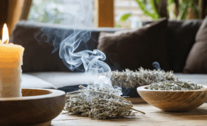 découvrez quand purifier votre maison avec de la sauge pour profiter d'une atmosphère saine et positive. conseils et astuces pour choisir les meilleurs moments et maximiser les bienfaits de la fumigation.