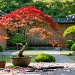 découvrez nos astuces incontournables pour bien tailler vos érables japonais, favoriser leur croissance et sublimer votre jardin. conseils pratiques et techniques simples pour des érables en pleine santé !