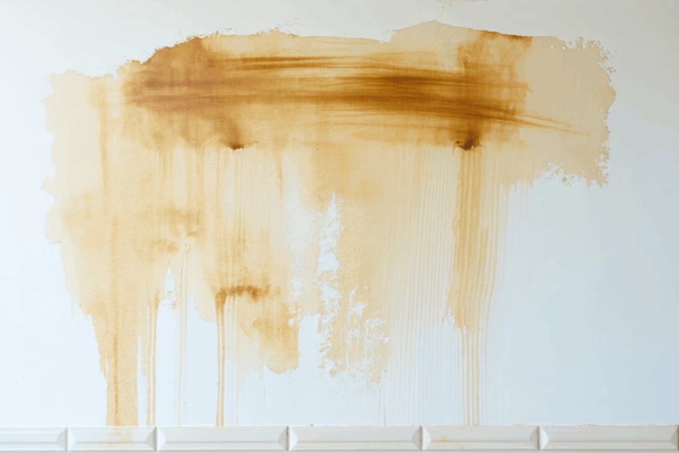 découvrez nos conseils et astuces pour nettoyer un mur en crépi intérieur sans l’abîmer. suivez ce guide pratique pour préserver l’aspect de vos murs tout en éliminant efficacement les saletés et taches.