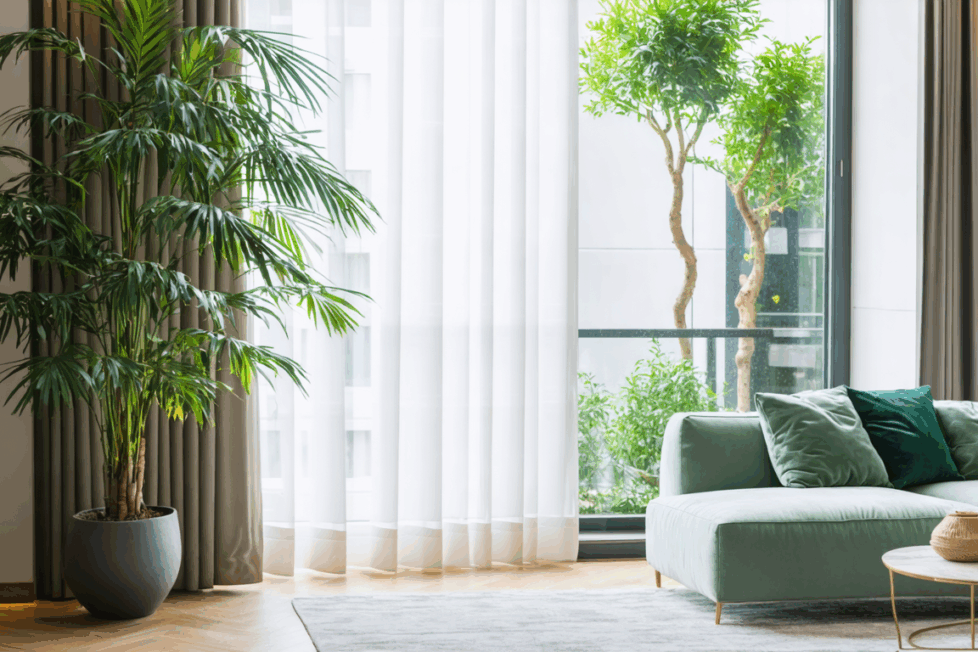 découvrez pourquoi le palmier parlour est la plante idéale pour embellir et purifier votre intérieur. facile d'entretien, il apporte une touche d'exotisme élégante à votre décoration.