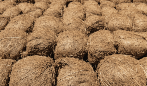 découvrez les secrets de la fibre de coco : explorez ses bienfaits pour le jardin, ses contraintes d’utilisation et ses nombreuses applications écologiques pour améliorer vos plantations.