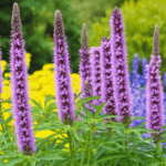 découvrez la liatris blazing star, une plante vivace remarquable aux épis floraux éclatants, idéale pour égayer massifs et jardins tout en attirant papillons et abeilles.