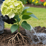 découvrez peegee, la variété d'hydrangeas reconnue pour sa robustesse et sa floraison spectaculaire. idéale pour tous jardins, elle assure beauté et résistance tout au long de la saison.