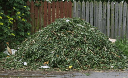 découvrez les démarches à suivre si votre voisin laisse ses déchets verts près de votre clôture : conseils pratiques, solutions amiables et actions à envisager pour préserver votre propriété.