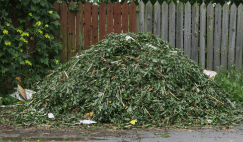 découvrez les démarches à suivre si votre voisin laisse ses déchets verts près de votre clôture : conseils pratiques, solutions amiables et actions à envisager pour préserver votre propriété.