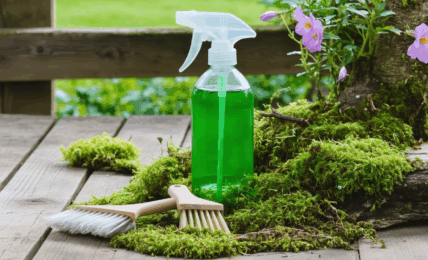 découvrez des astuces de grand-mère efficaces et naturelles pour éliminer la mousse de votre jardin ou terrasse sans produits chimiques. des solutions simples, écologiques et économiques pour un extérieur impeccable !