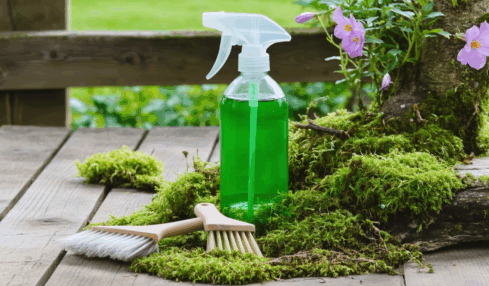 découvrez des astuces de grand-mère efficaces et naturelles pour éliminer la mousse de votre jardin ou terrasse sans produits chimiques. des solutions simples, écologiques et économiques pour un extérieur impeccable !