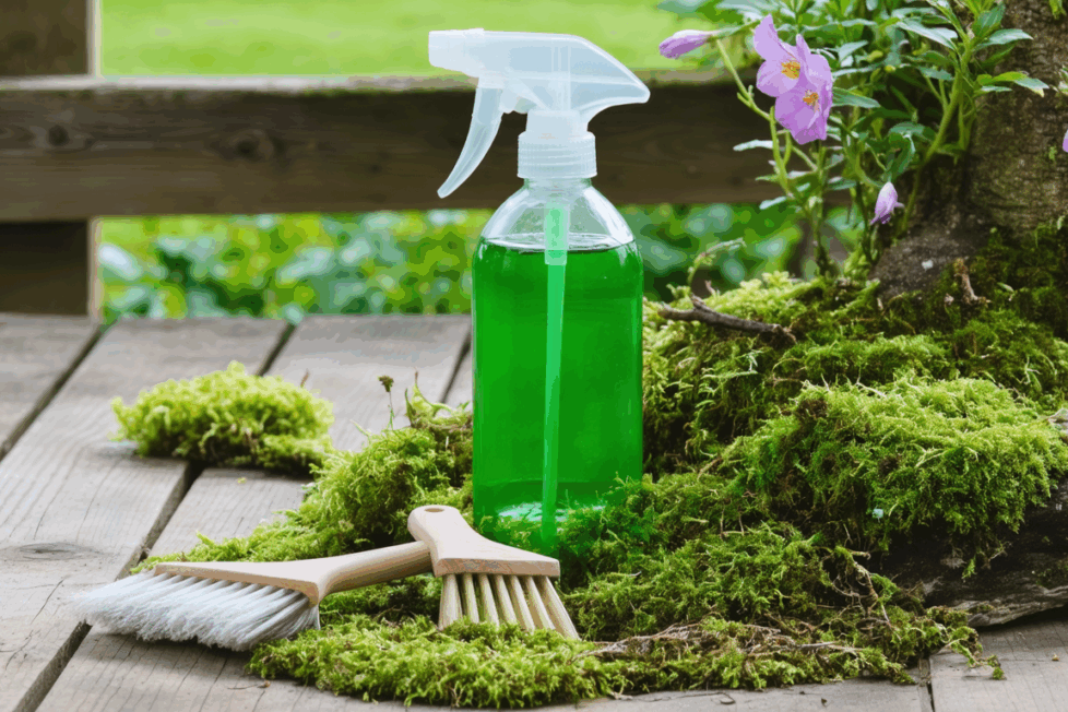 découvrez des astuces de grand-mère efficaces et naturelles pour éliminer la mousse de votre jardin ou terrasse sans produits chimiques. des solutions simples, écologiques et économiques pour un extérieur impeccable !