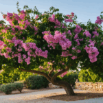 découvrez pourquoi votre lilas des indes ne fleurit pas et apprenez des solutions efficaces pour stimuler sa floraison et maintenir un arbuste en pleine santé.