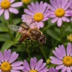 L’Éristale opiniâtre : l’alliée secrète et insoupçonnée de vos jardins