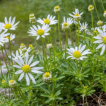 découvrez notre guide complet des fleurs commençant par la lettre e et trouvez l'inspiration pour embellir votre jardin avec des variétés uniques et colorées.