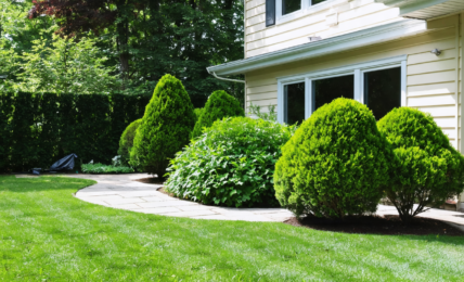 découvrez notre guide complet pour identifier les œufs d’araignée et apprendre à les maîtriser efficacement, protégeant ainsi votre maison en toute sécurité.