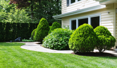 découvrez notre guide complet pour identifier les œufs d’araignée et apprendre à les maîtriser efficacement, protégeant ainsi votre maison en toute sécurité.