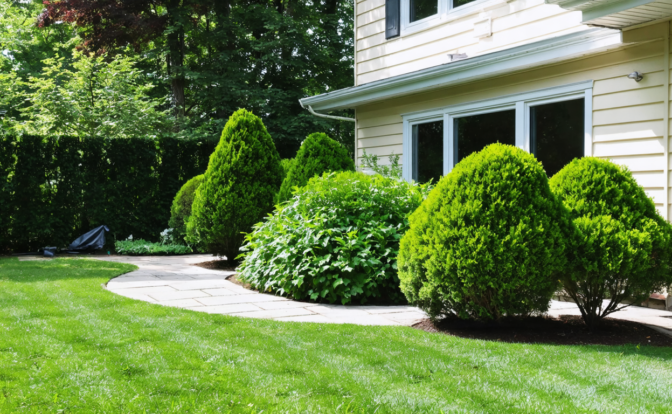 découvrez notre guide complet pour identifier les œufs d’araignée et apprendre à les maîtriser efficacement, protégeant ainsi votre maison en toute sécurité.