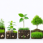 découvrez l'avenir d'oogarden, le leader du jardinage en ligne, et les perspectives du géant du e-commerce spécialisé dans le jardin et l'aménagement extérieur.